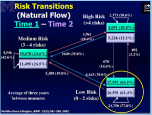 edington flow of risk