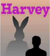 harvey